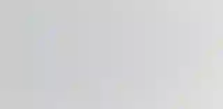 Standard Risk Management Steps